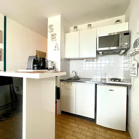 Apartmán En Bord De A Avec Loggia, Parking Prive Et Acces Direct A La - Fr-1-338-566 Sète