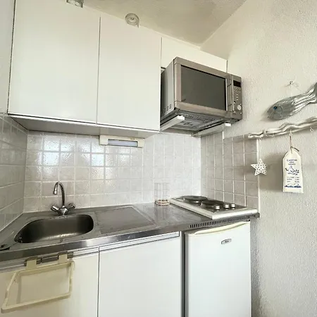 Apartmán En Bord De A Avec Loggia, Parking Prive Et Acces Direct A La - Fr-1-338-566 Sète